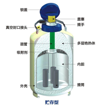 成都金鳳貯存型液氮罐結(jié)構(gòu)特點(diǎn)